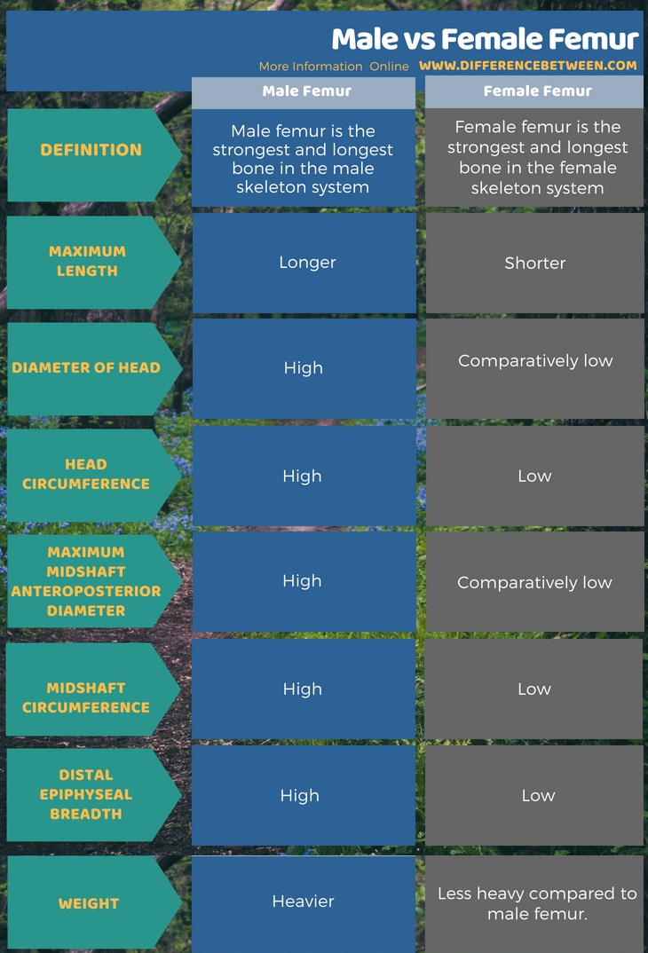 Difference Between Male and Female Femur in Tabular Form