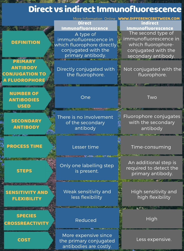 Difference Between Direct and Indirect Immunofluorescence in Tabular Form