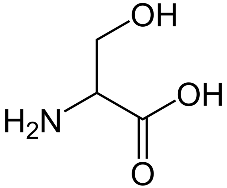 Key Difference Between Hydrophobic and Hydrophilic Amino Acids