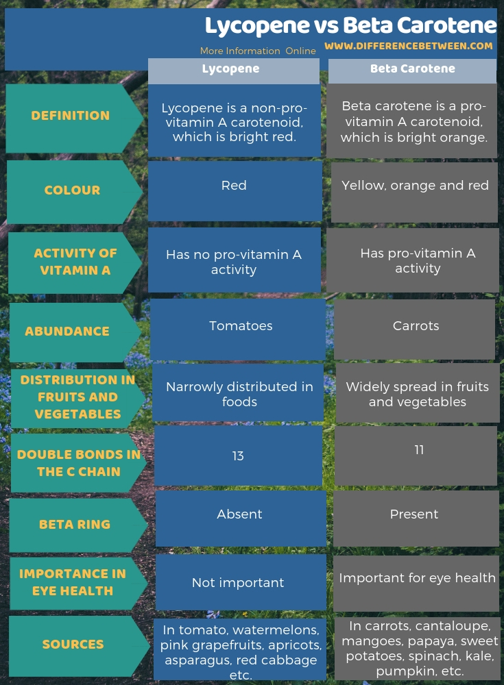 Difference Between Lycopene and Beta Carotene in Tabular Form