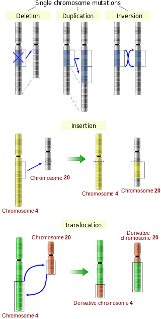 Key Difference - DNA Sequence Mutations vs Epigenetic Modifications