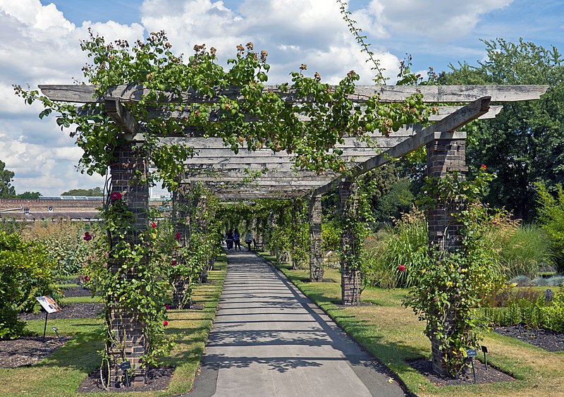 Difference Between Pergola and Verandah_Figure 2