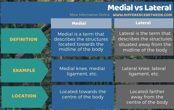 Difference Between Medial and Lateral in Tabular Form