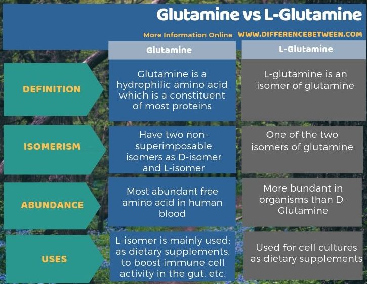 Difference Between Glutamine and L-Glutamine in Tabular Form