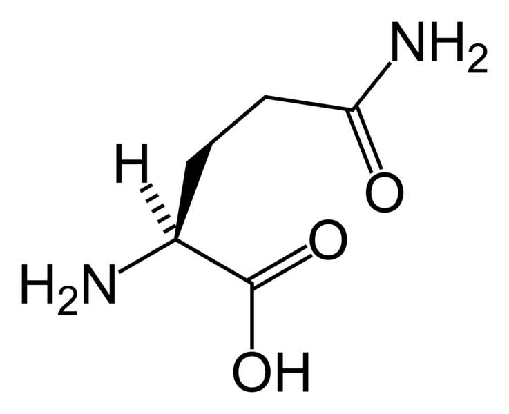 Key Difference - Glutamine vs L-Glutamine