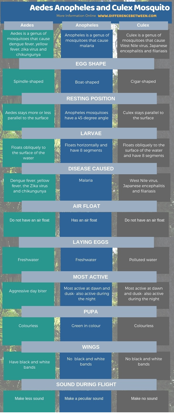 Difference Between Aedes Anopheles and Culex Mosquito in Tabular Form