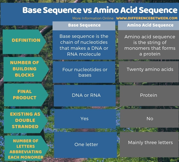 Difference Between Base Sequence and Amino Acid Sequence in Tabular Form