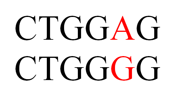 Main Difference - Frameshift Mutation vs Base Substitution Mutation