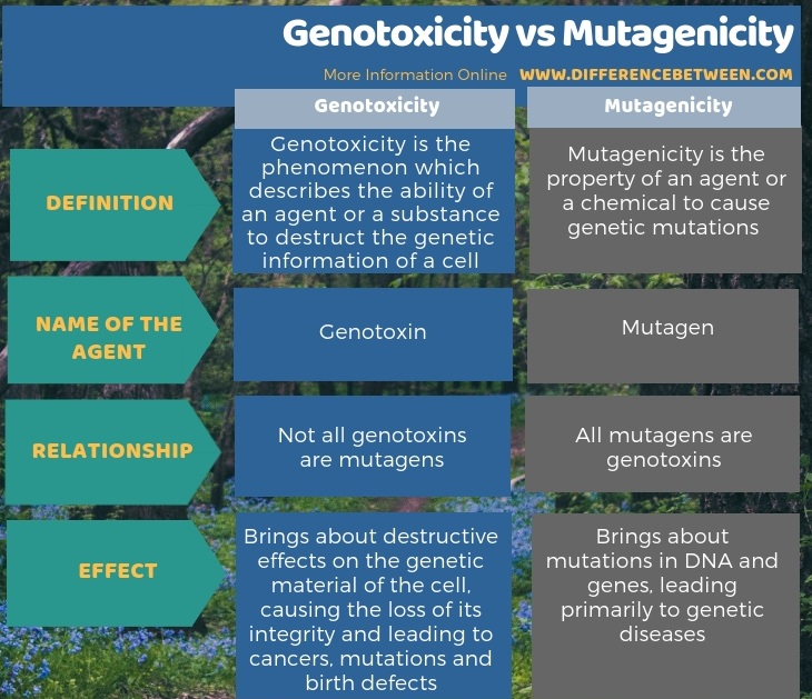 Difference Between Genotoxicity and Mutagenicity in Tabular Form