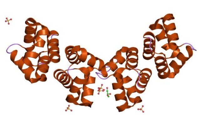 Key Difference - Bacteriocin vs Antibiotic