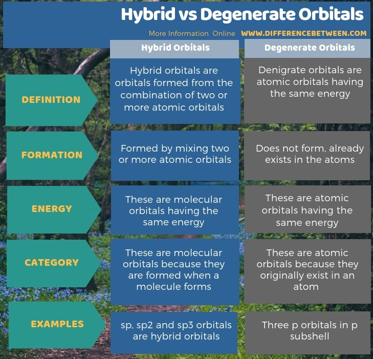 Difference Between Hybrid and Degenerate Orbitals in Tabular Form