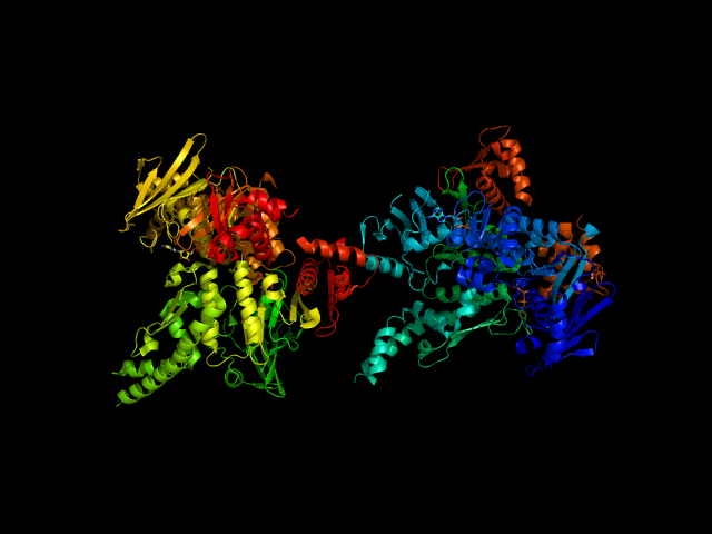 Key Difference - Cohesin vs Condensin