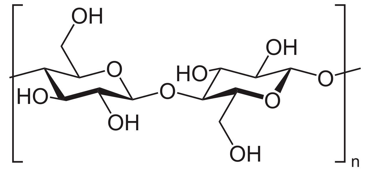 Difference Between Cellobiose and Cellulose