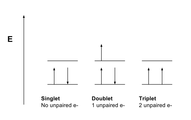 Difference Between Multiplicity and Bond Order