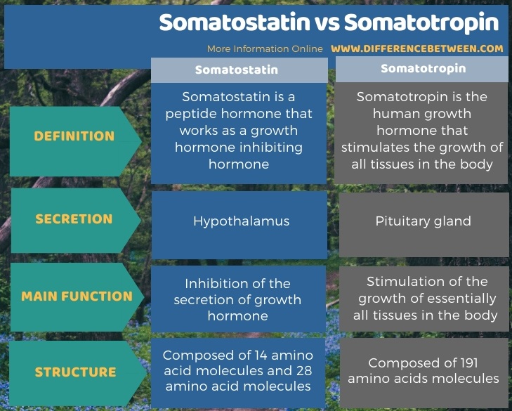 Difference Between Somatostatin and Somatotropin in Tabular Form