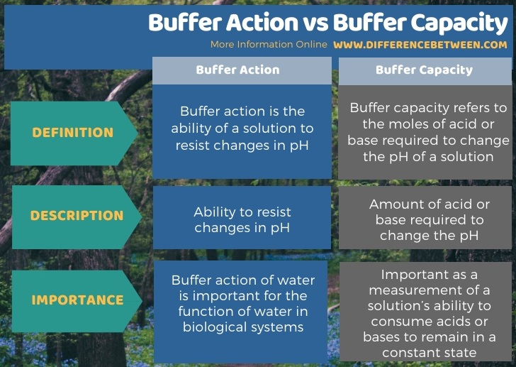 Difference Between Buffer Action and Buffer Capacity in Tabular Form