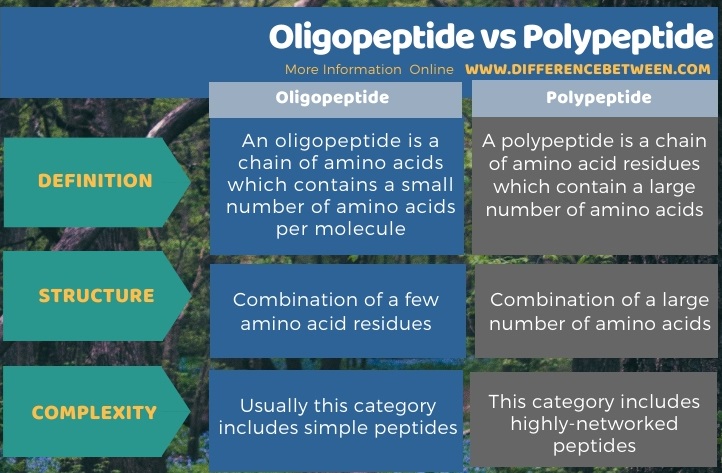 Difference Between Oligopeptide and Polypeptide in Tabular Form