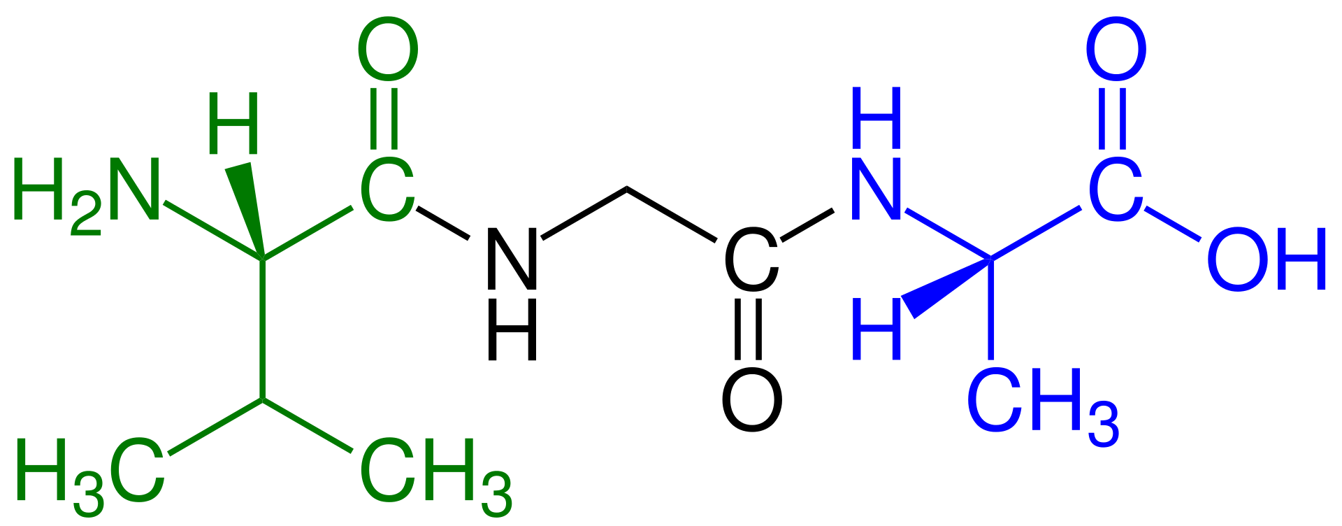 Key Difference - Oligopeptide vs Polypeptide