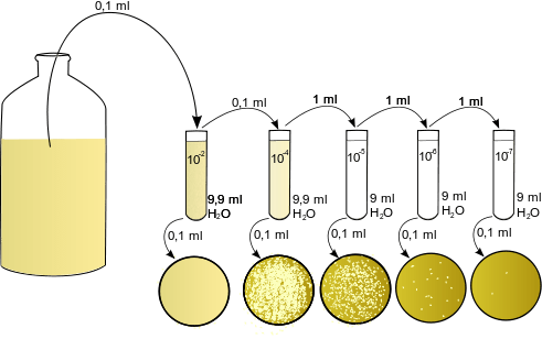 Key Difference - Total Cell Count vs Viable Cell Count