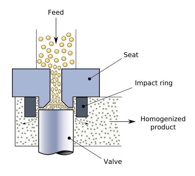 Difference Between Sonication and Homogenization