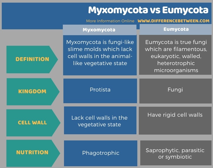 Difference Between Myxomycota and Eumycota in Tabular Form