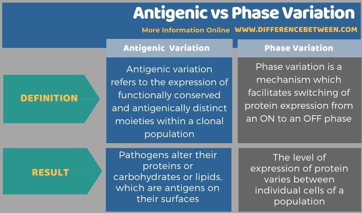 Difference Between Antigenic and Phase Variation - Tabular Form