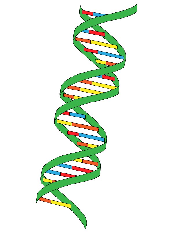 Difference Between Ionomers and Polyelectrolytes