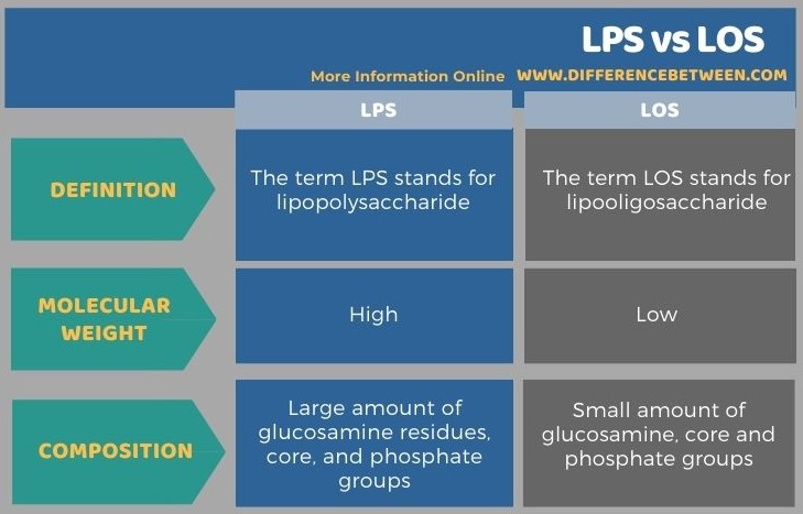 Difference Between LPS and LOS in Tabular Form