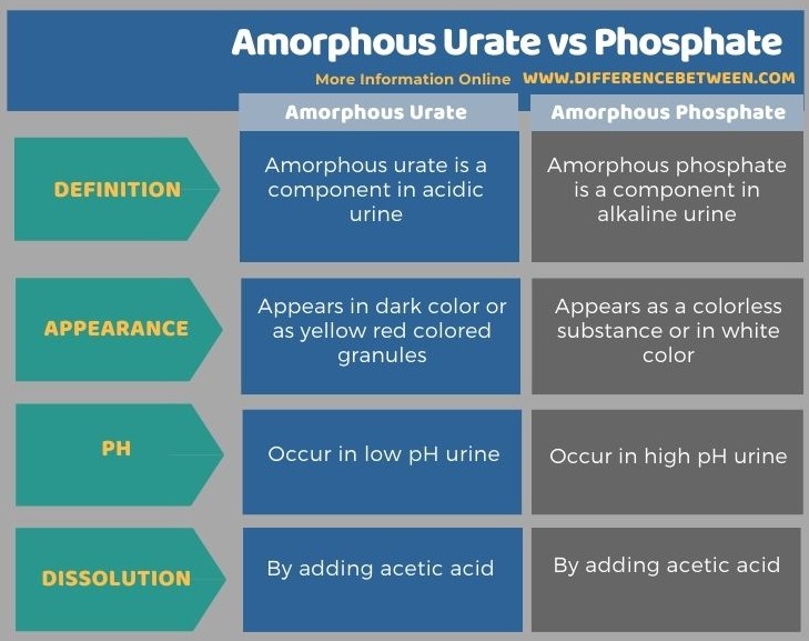 Difference Between Amorphous Urate and Phosphate in Tabular Form