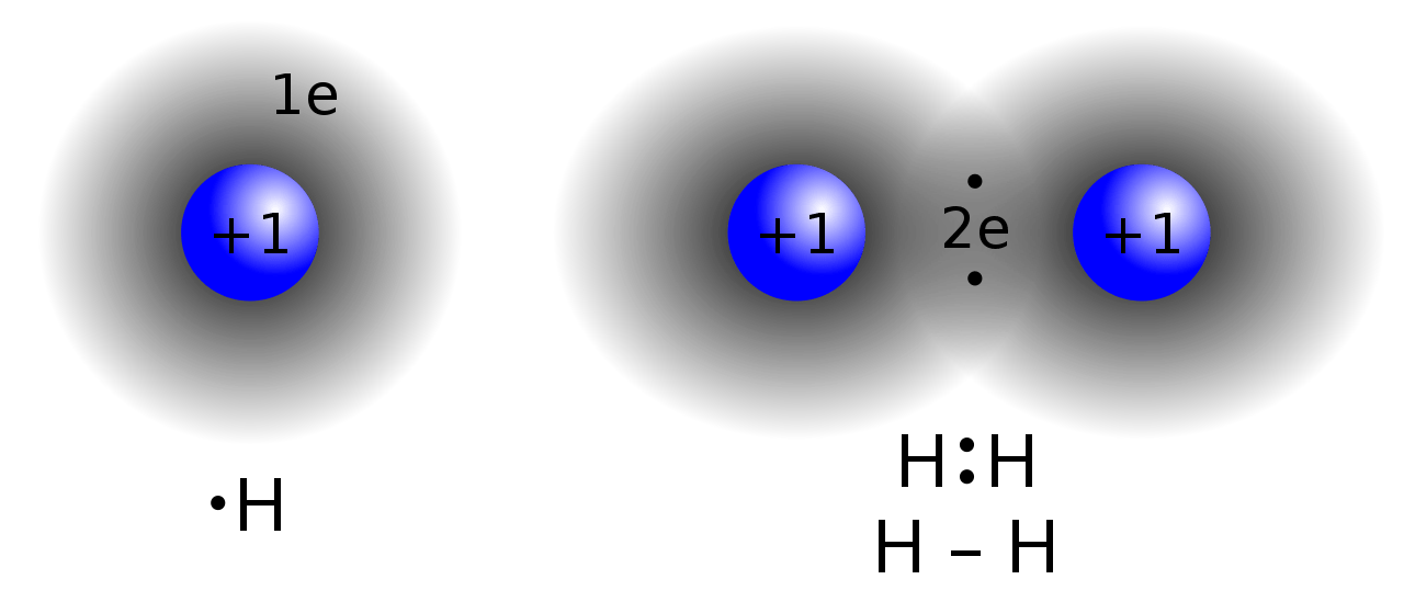 Difference Between Covalent and Noncovalent Bonds