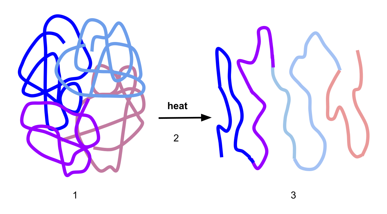 Difference Between Denaturation and Renaturation of Protein