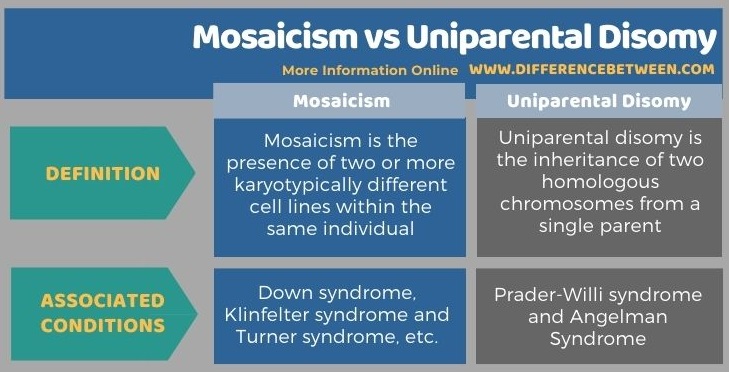 Difference Between Mosaicism and Uniparental Disomy in Tabular Form