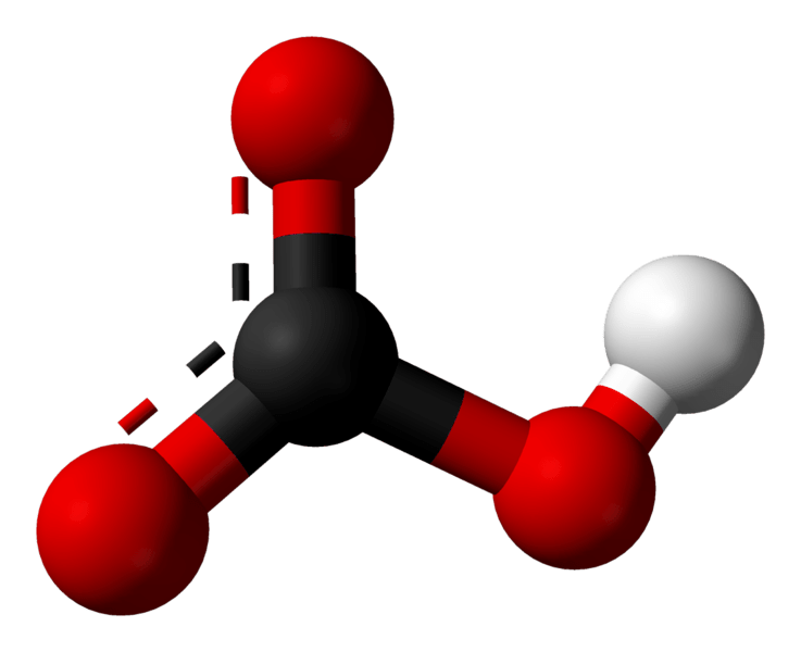 Key Difference - Metal Carbonate vs Metal Hydrogen Carbonate