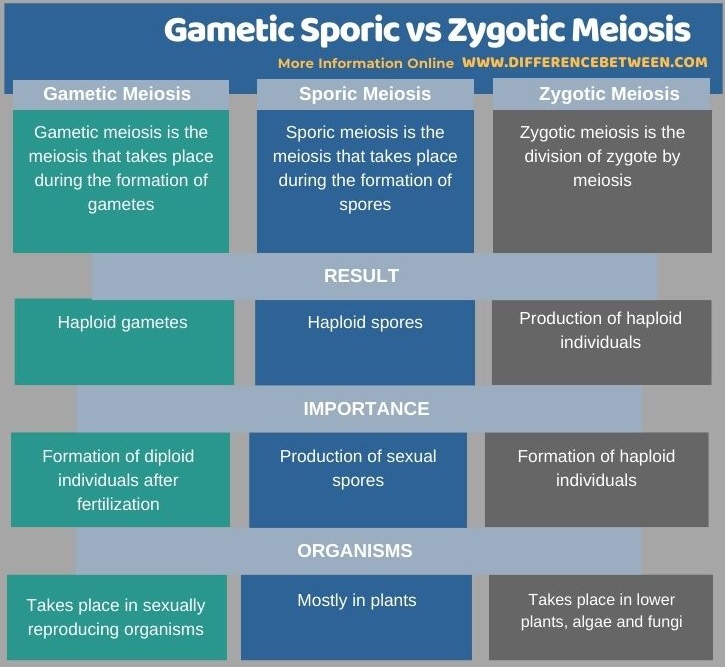 Difference Between Gametic Sporic and Zygotic Meiosis in Tabular Form