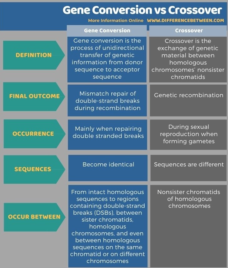 Difference Between Gene Conversion and Crossover in Tabular Form