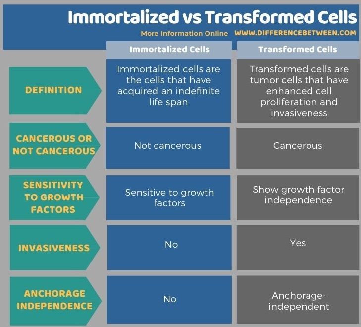 Difference Between Immortalized and Transformed Cells in Tabular Form