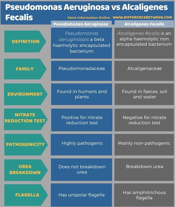 Difference Between Pseudomonas Aeruginosa and Alcaligenes Fecalis in Tabular Form