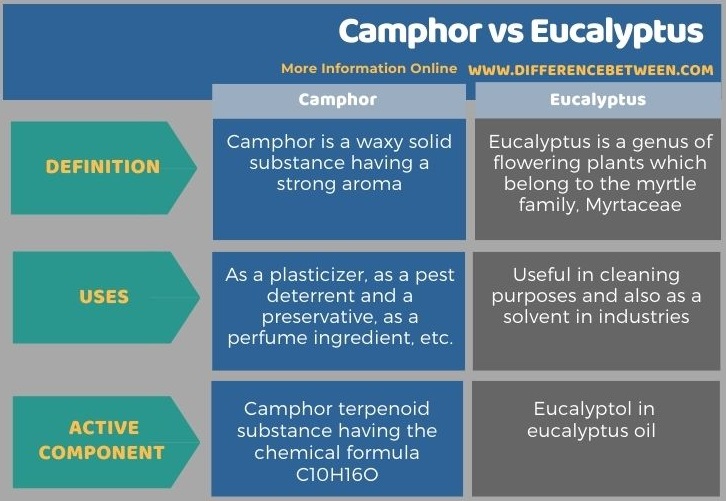 Difference Between Camphor and Eucalyptus in Tabular Form