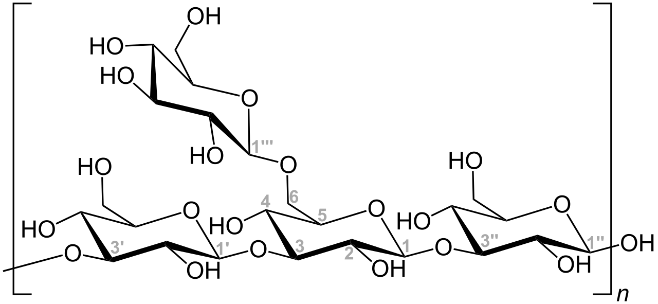 Mannitol and Laminarin - Side by Side Comparison