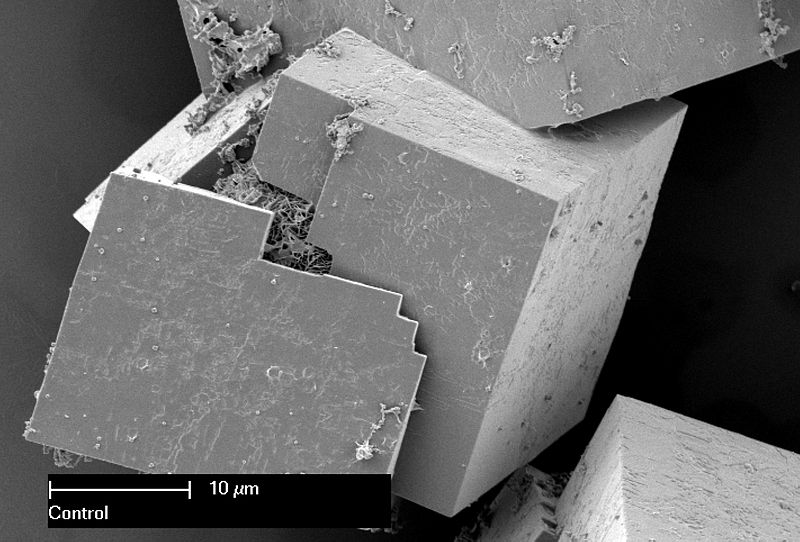 MOF and COF - Side by Side Comparison 