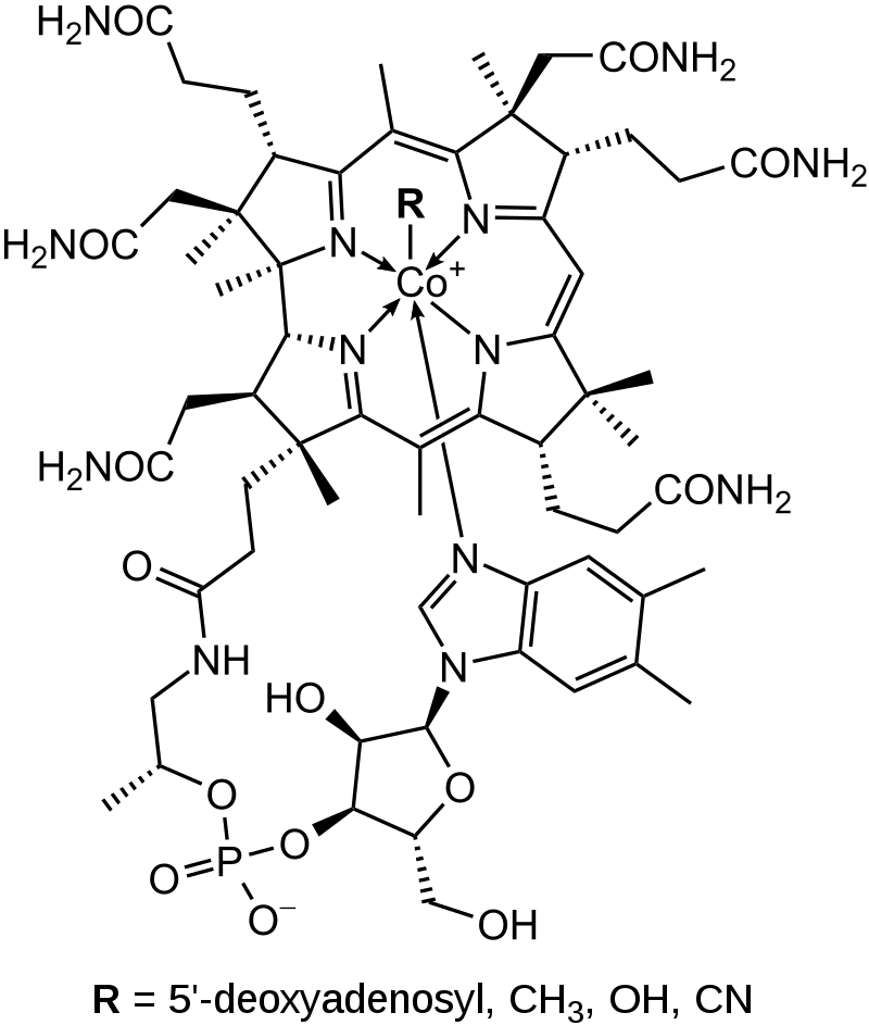 Vitamin B3 and B12 - Side by Side Comparison 