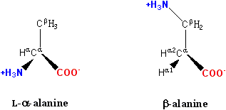 Beta Alanine vs L Alanine in Tabular Form