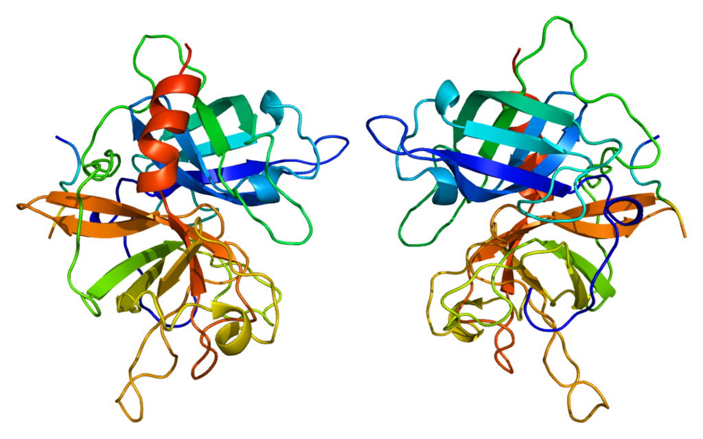 Streptokinase and tPA - Side by Side Comparison 