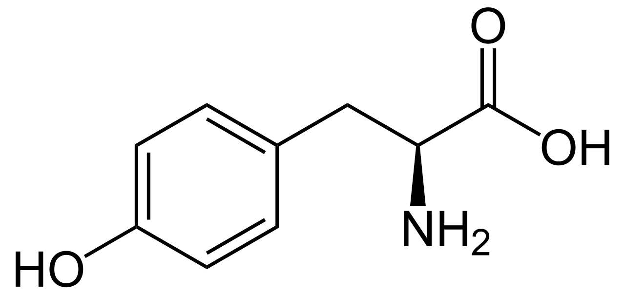 N-acetyl Tyrosine vs L-tyrosine in Tabular Form