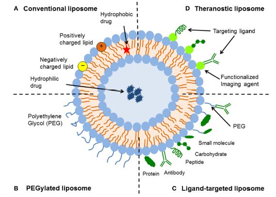 Amphotericin B vs Liposomal Amphotericin B in Tabular Form