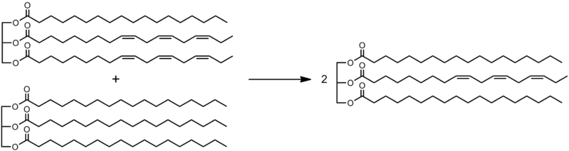 Interesterification vs Transesterification in Tabular Form