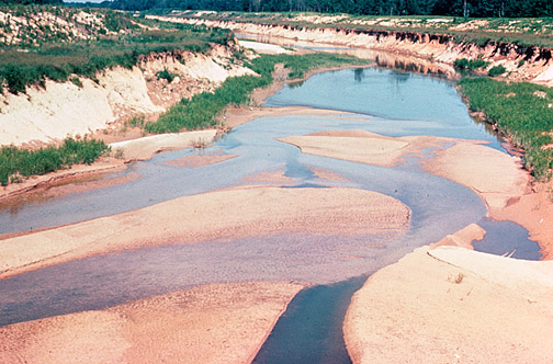 Sedimentation vs Flotation in Tabular Form