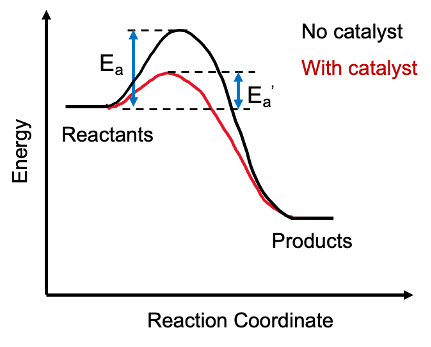 Catalyst vs Intermediate in Tabular Form