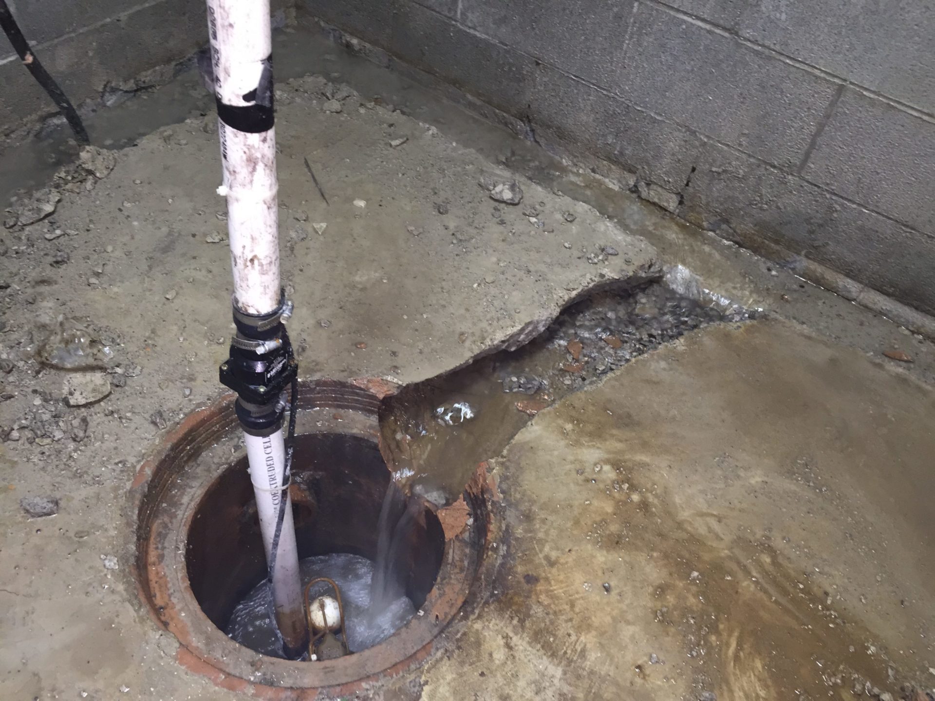 The Best Sump Pump Systems For Your Home Dry Pro