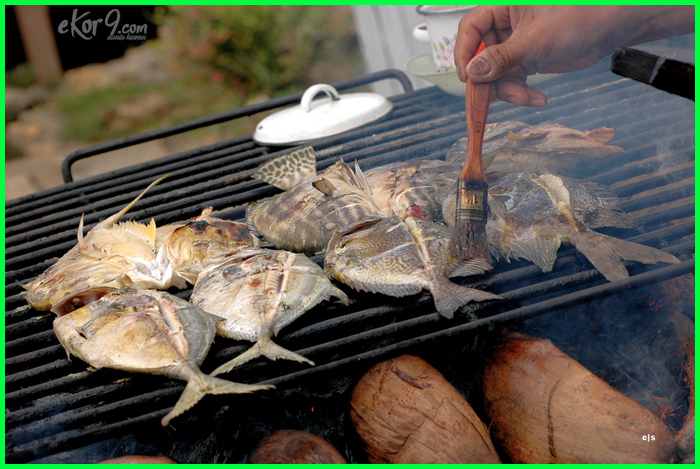 Gambar Bakar Ikan Lucu